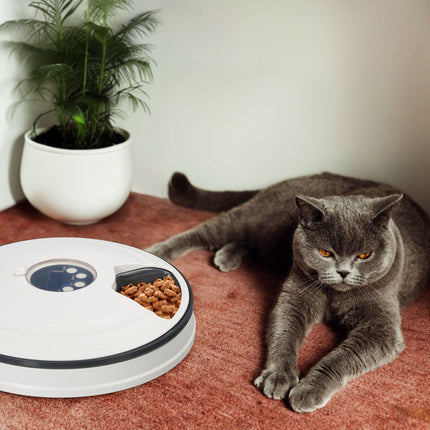Automatic Pet Feeder, 6-Portion Electric Food Dispenser