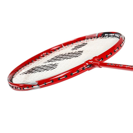 Badminton Set: 4 Rackets, 3 Shuttlecocks, Net & Lines