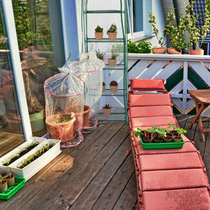 Balcony greenhouse with PVC film