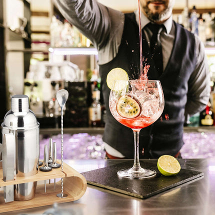 Bartender kit in 11 parts