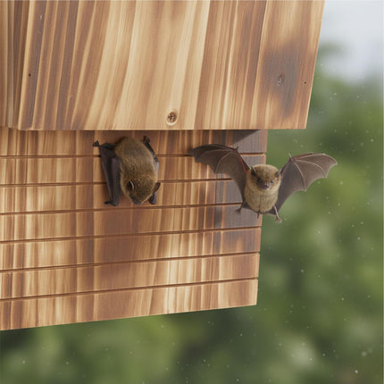 Fledermauskasten-Set, geflammtes Tannenholz, 2 Stück