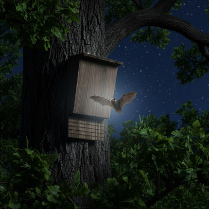 Bat Box Set, Wooden, 2-Pack, Outdoor Use