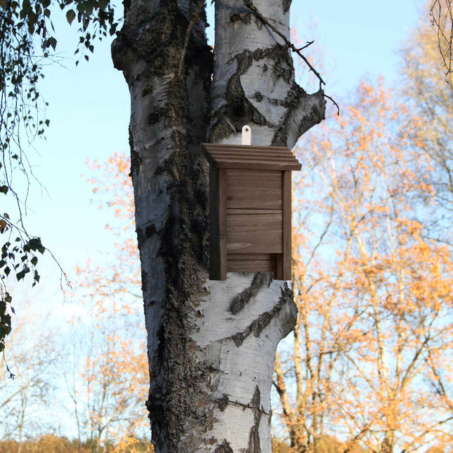 Nichoir à chauves-souris en bois marron