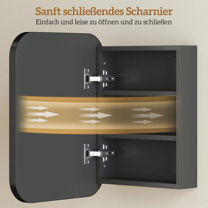 Badkamerspiegelkast met verstelbare planken, zwart, 40x10x51 cm