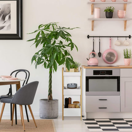 Bathroom shelf with 3 baskets