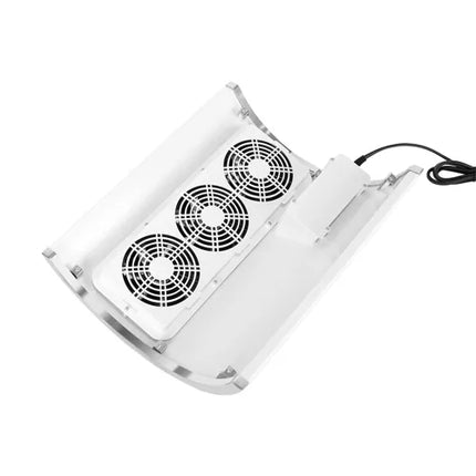 Beautylushh white dust absorber