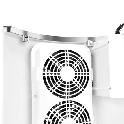 Beautylushh white dust absorber