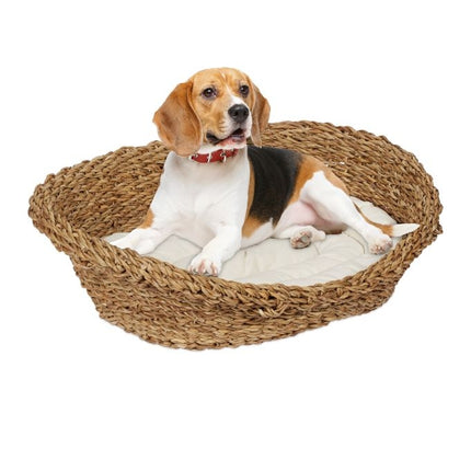 Bed for dogs and cats