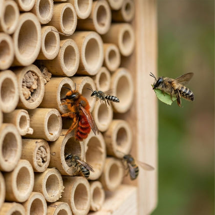 Bee Hotel with Metal Roof for Wild Bees