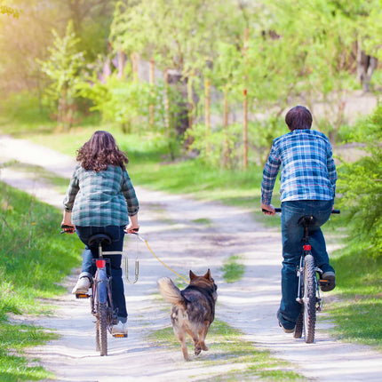 Fahrradleine mit Abstand für Hunde