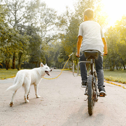 Fahrradleine mit Abstand für Hunde