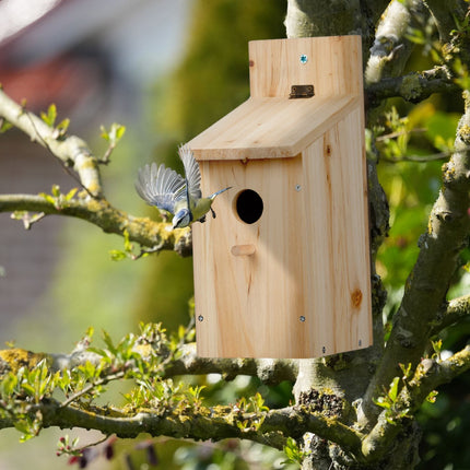 Bird House Kit for Sparrows and Tits, 7-Piece Set