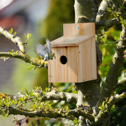 Bird House Kit with 35mm Entrance for Sparrows