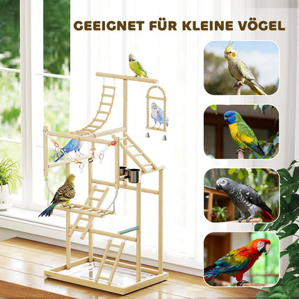 Bird Play Stand, 4 Levels, Stainless Tray, Natural Wood