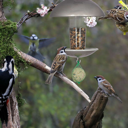 Mangeoire à oiseaux sur un bâton