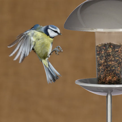 Mangeoire à oiseaux sur un bâton