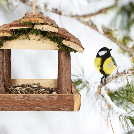 Bird feeder with bark