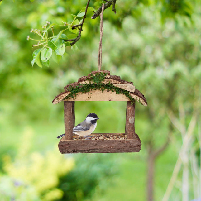 Bird feeder with suspension