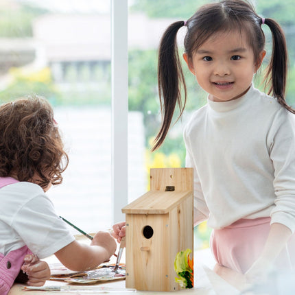 Birdhouse Kits with Perch & Hinged Roof – Set of 2