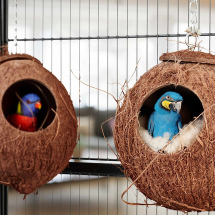 Vogelhäuschen Kokosnuss 2er Set