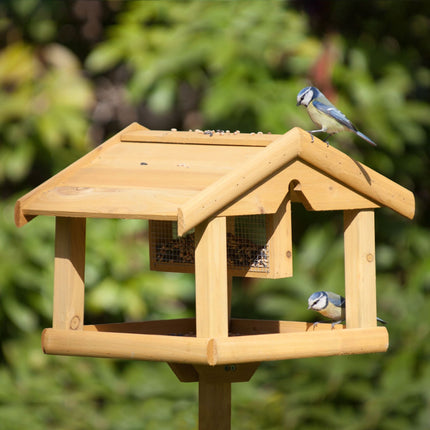 Bird house on a stick