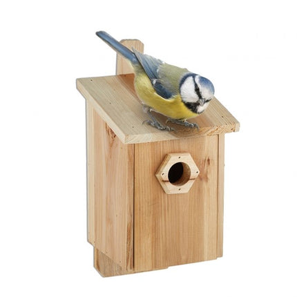 Birdhouse wood