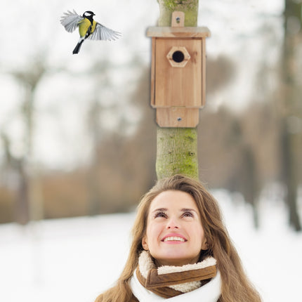Birdhouse wood