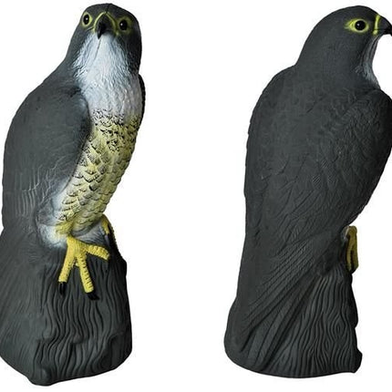 Bird repellent - falcon