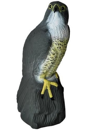 Bird repellent - falcon
