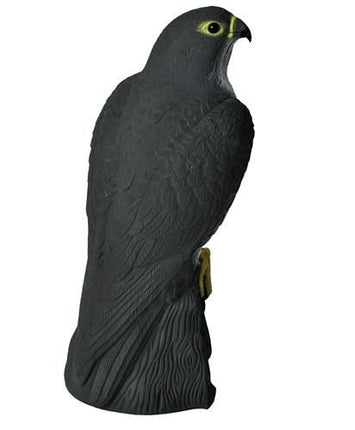 Bird repellent - falcon