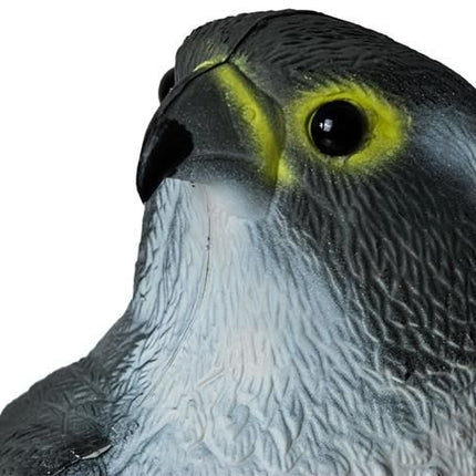 Bird repellent - falcon