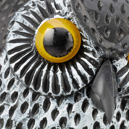 Vogelverschrikker uil
