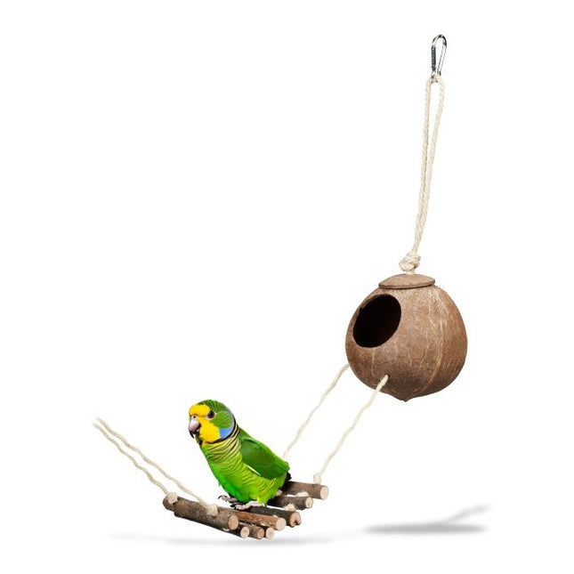 Vogelspielzeug mit Kokosnuss und Holzleiter