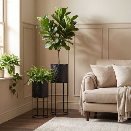 Black Metal Plant Stand Set of 2 – Modern Embossed Finish