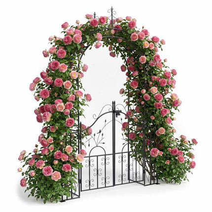 Black Metal Rose Arch with Gate – 235x144x45 cm