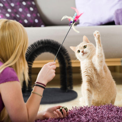 Schwarzes Haarentfernungstuch für Katzen