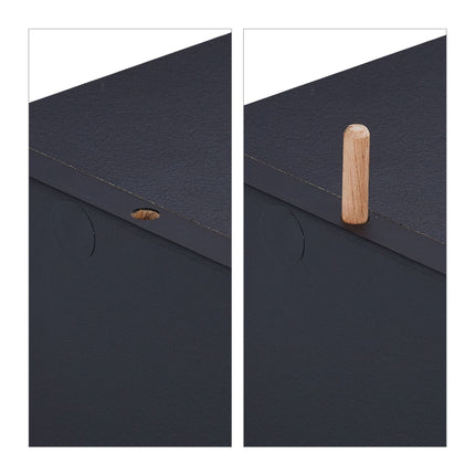 Black shoe shelf with 2 shelves