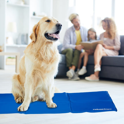 Tapis rafraîchissant bleu pour chiens