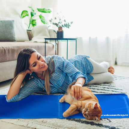 Tapis rafraîchissant bleu pour chiens