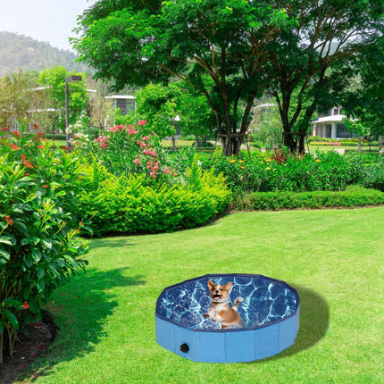 Piscine bleue pour chiens