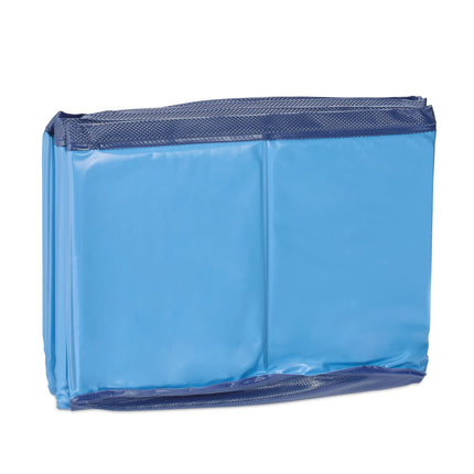 Piscine bleue pour chiens