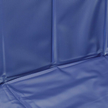 Piscine bleue pour chiens