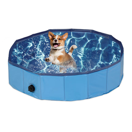 Piscine bleue pour chiens