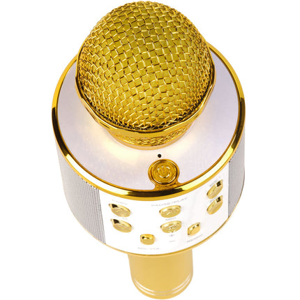 Bluetooth-Karaoke-Mikrofon mit eingebautem Lautsprecher. Gold