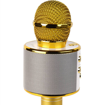 Bluetooth-Karaoke-Mikrofon mit eingebautem Lautsprecher. Gold