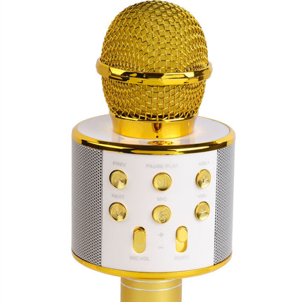 Bluetooth-Karaoke-Mikrofon mit eingebautem Lautsprecher. Gold