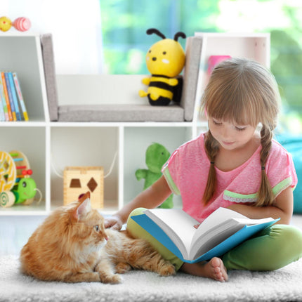 Bücherregal mit Sitzkissen