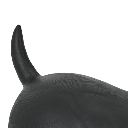 Chien animal rebondissant noir
