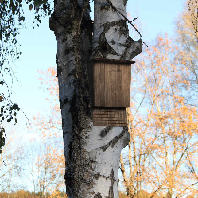 Fledermauskasten aus braunem Kiefernholz