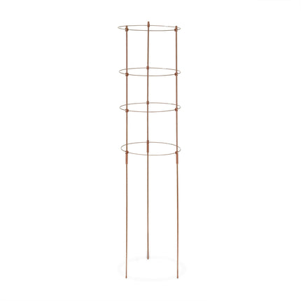 Braune Pflanzenstützen mit Ringen, 120 cm